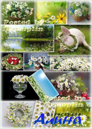 ���� ������� � �������, ������, ������