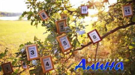 Magic Tree Photo Slideshow