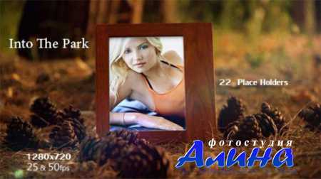 Into The Park V1 - After Effects Project