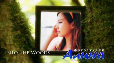 Into The Woods V1.0 - After Effects Project