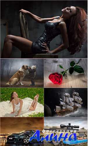 HQ ���� ��� �������� ����� (����� 239)