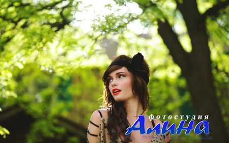 ���� �� ������� ���� - ������� ( ����� 33 )