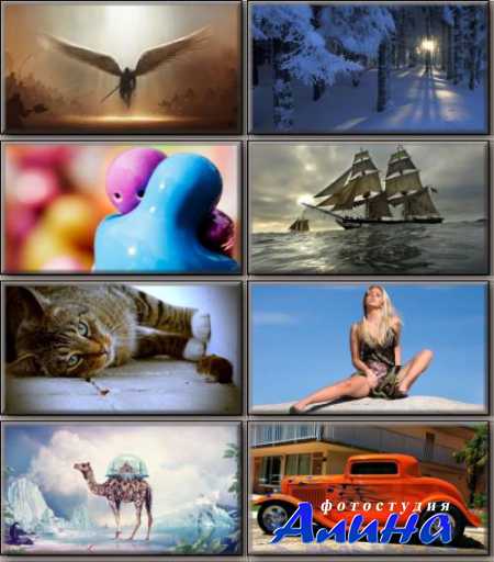 ������������������ HD Ready ���� (����� 377)