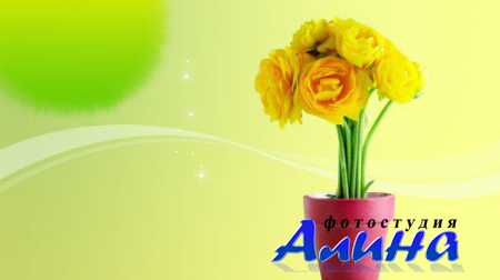 �����. ���������� �����-9