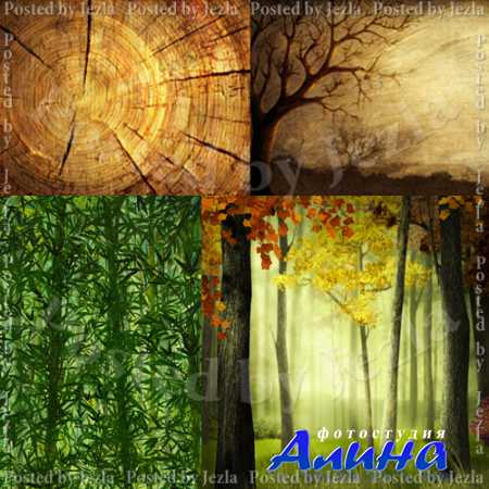 PSD ��������� - ���, ������� 2