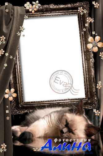 Фоторамочка - Мяу