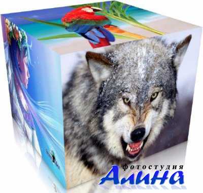 ��������� ��������������� ����� �� ������� ����