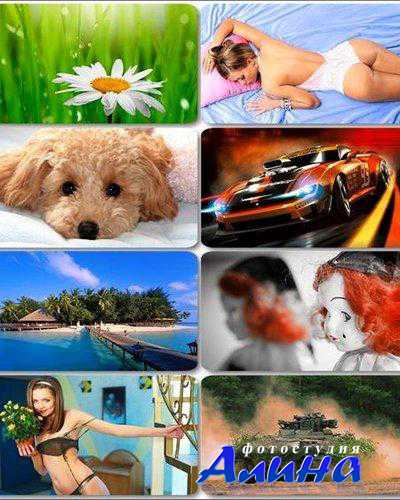 ��������� ��������������� ����� �� ������� ����