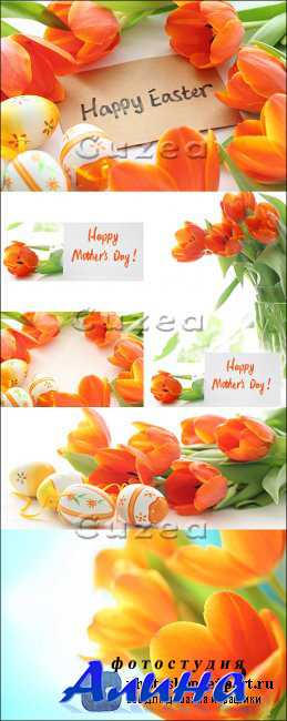 �������� � 8 ����� � � �����