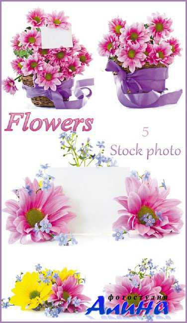 �����, ������� � �������, ����� � �������� ��� ������