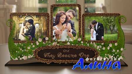 Wedding Album Pop up Book