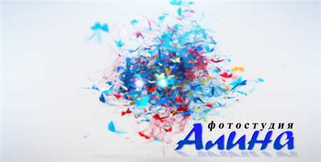 Colorful Buttrfly Logo Reveal