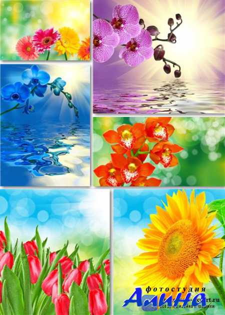 ��������� ������� - �������� �����