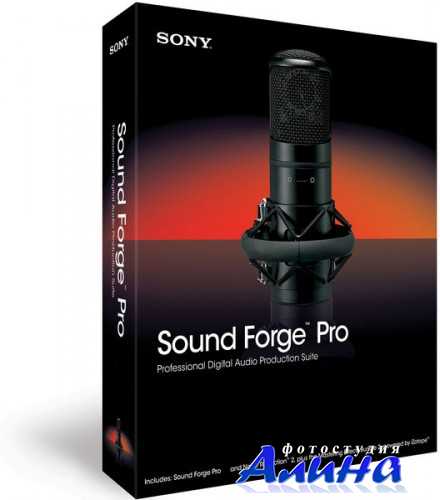 SONY Sound Forge Pro 11.0 Build 345 Rus