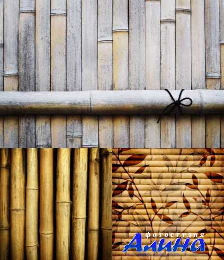 Bamboo - ������