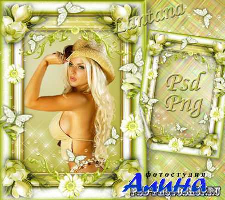 ����� � ������� ������� �� ����, ����� ��������