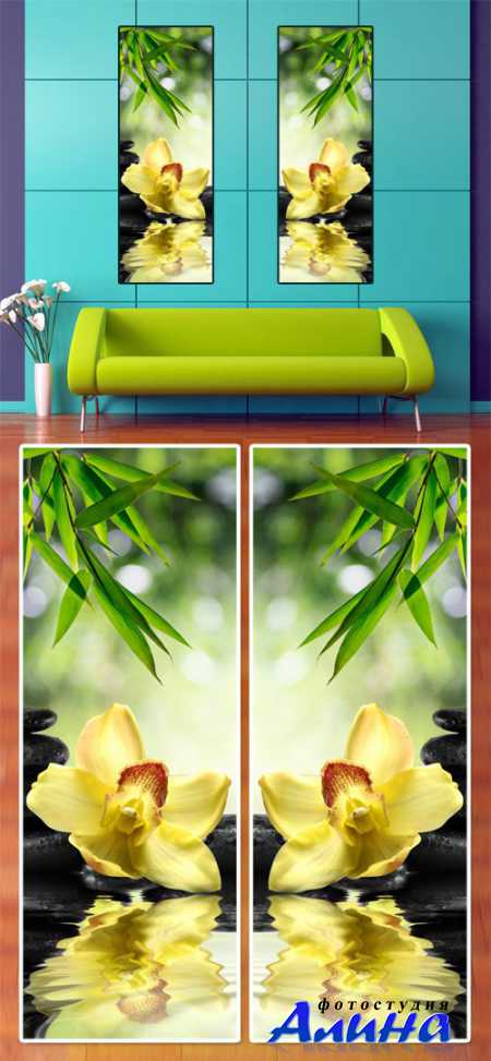 ������ - ������� ��� �����