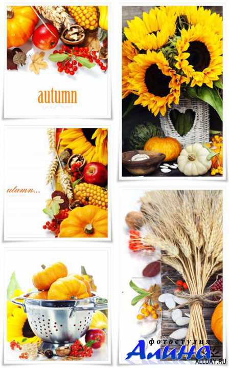 Autumn decorations - Stock photo