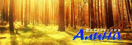 ����������� ������ ����������