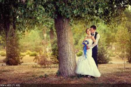 ��������� ��������� - ������ �������