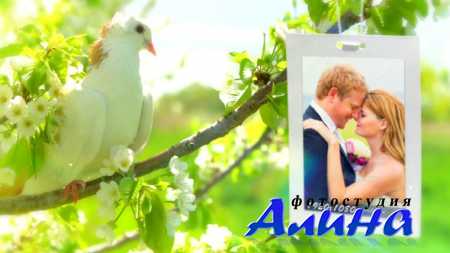 Wedding Photo Gallery - Doves Slideshow
