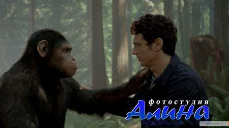 ��������� ������� ������� / Rise of the Planet of the Apes