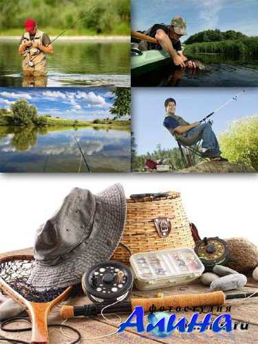 �������� �����: �������