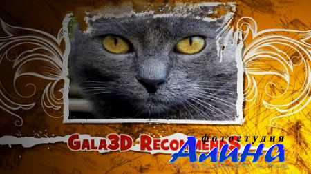 Projects - Filigree Scratch and Both Directions Now for After Effects