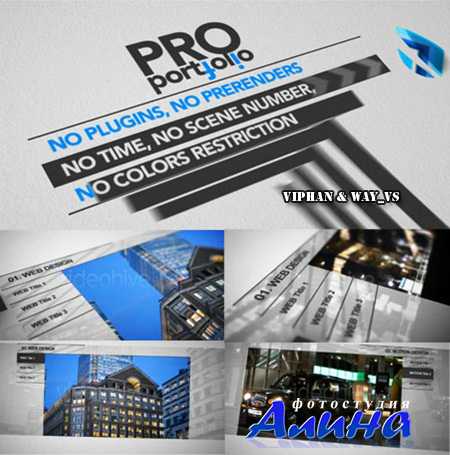 Professional Portfolio