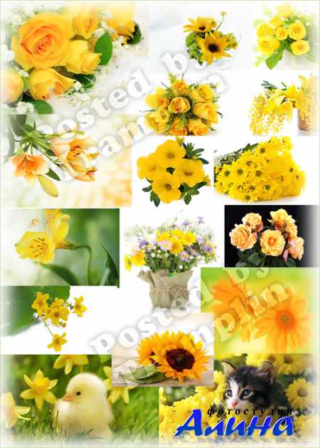 ������ ����� - ���� ������ � �������