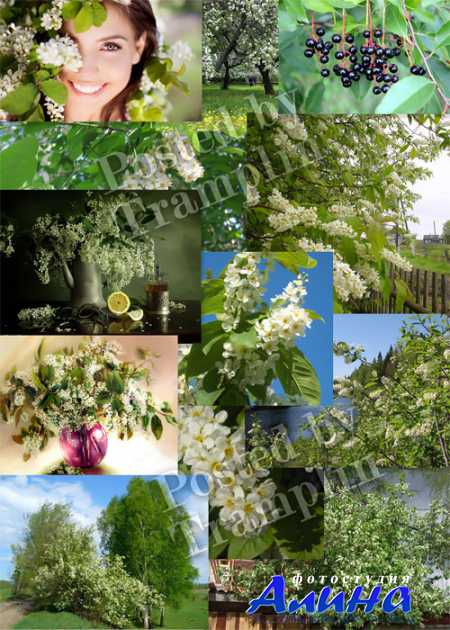 �������� ������ � ��������� �������