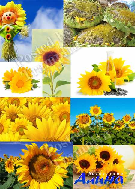 ���������� - � ������ ������� ���