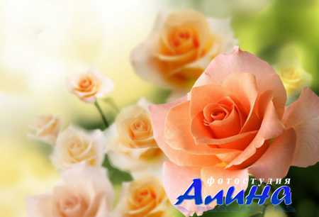 ���� ��� �������� ����� �������� �����. ����� 19