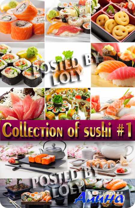 ���. ���� ���������. ����