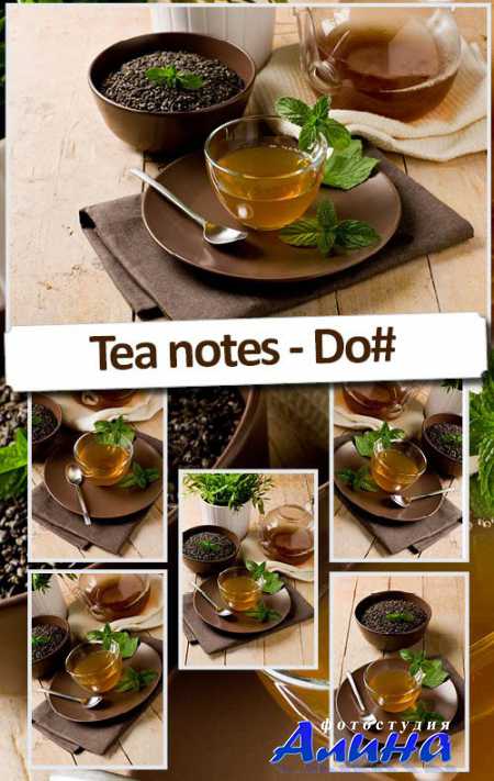 ������ �����. ���� ������