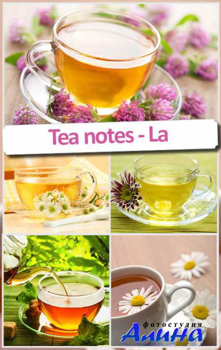 ������ �����. ���� ��