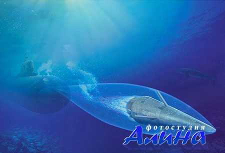 ������ � ��������� ���������� ��������� �����