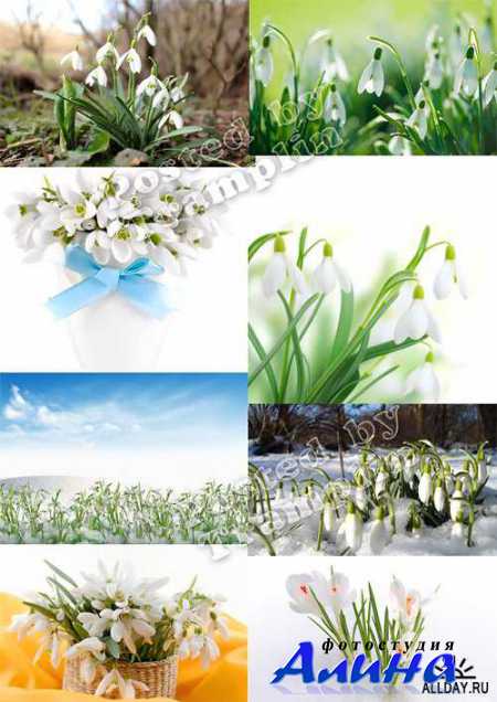 ����������� � �������� ����