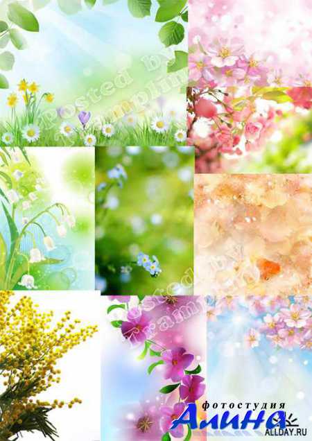 �������� �������� ���� ��������� ��������