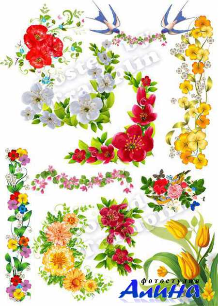 ��������� ����������, ������, �������� �� ���������� ����