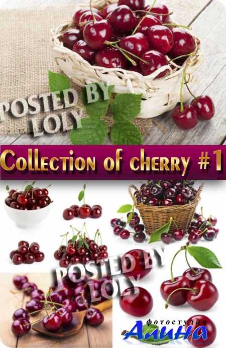 ���. ���� ���������. ����� #1 - ��������� �������