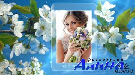 Photo Gallery Spring Blossoms