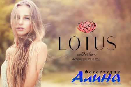Lotus Photoshop Action Collection