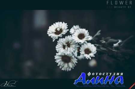 500 ���� ������ ��������