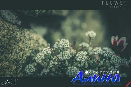 500 ���� ������ ��������