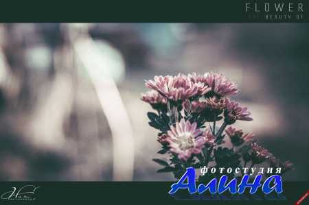 500 ���� ������ ��������