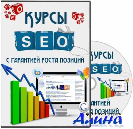 ����� SEO � ��������� ����� �������. ������� (2013)