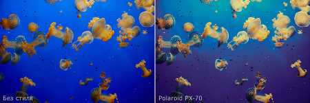 ����� ��� Capture One ���������� ��� ������