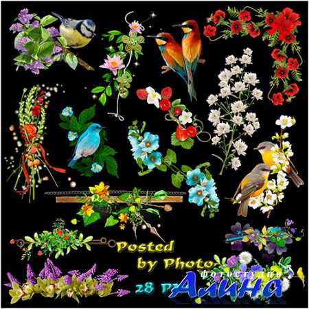 ������� �� ���������� ���� - �����, �����������, �����