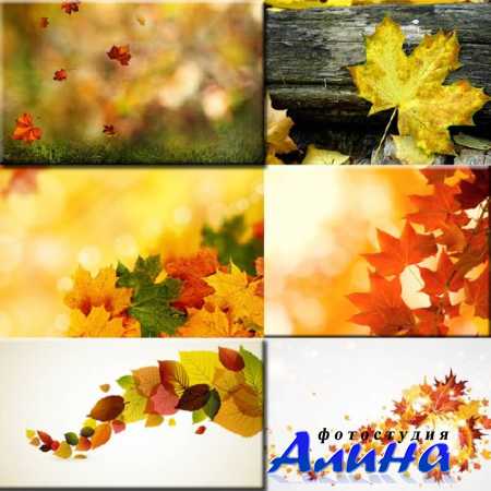 ��������� ������� - ������ �����